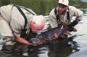 releasing a taiman in Mongolia